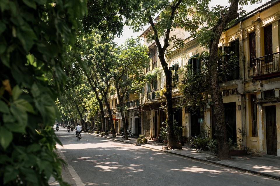 A tree-shaded street of weathered shophouses in central Hanoi